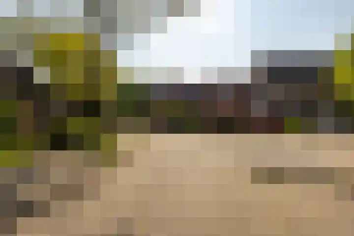 Nijensteinheerd 125 Groningen thumbnail 38