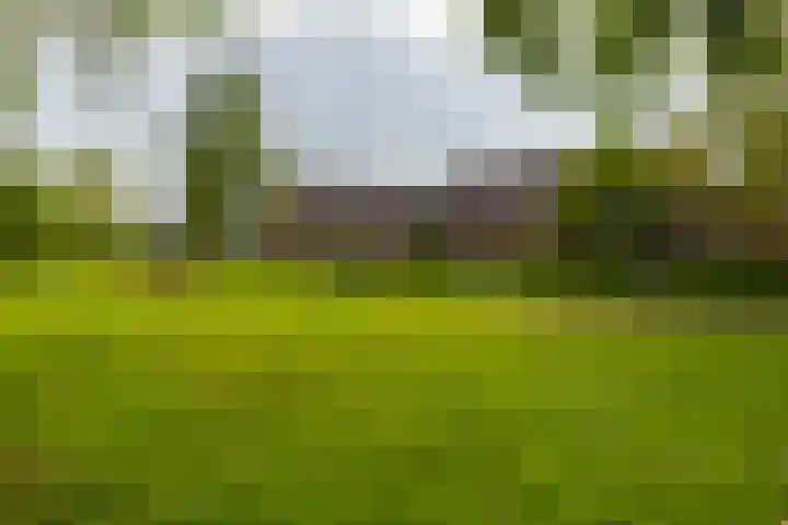 Nijensteinheerd 125 Groningen thumbnail 39