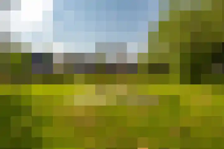 Nijensteinheerd 125 Groningen thumbnail 41