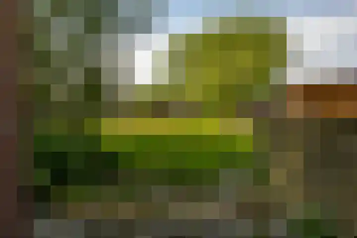 Nijensteinheerd 125 Groningen thumbnail 42