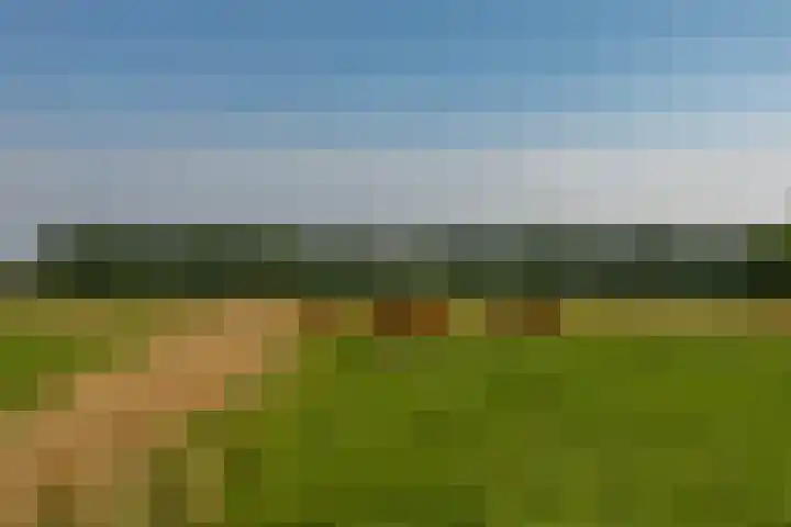 Nijensteinheerd 125 Groningen thumbnail 43