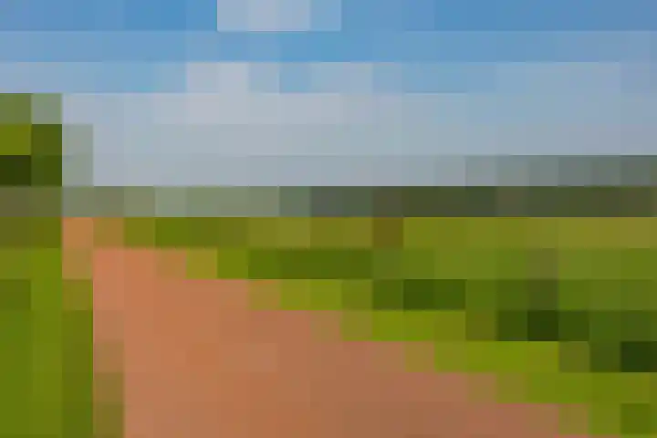 Nijensteinheerd 125 Groningen thumbnail 44