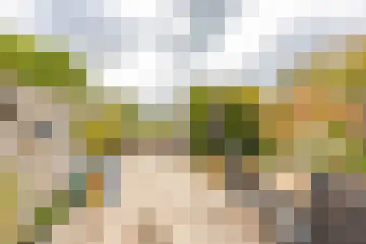 Nijensteinheerd 186 a Groningen thumbnail 19