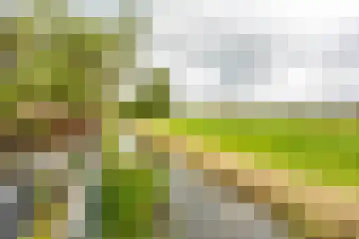 Nijensteinheerd 186 a Groningen thumbnail 22