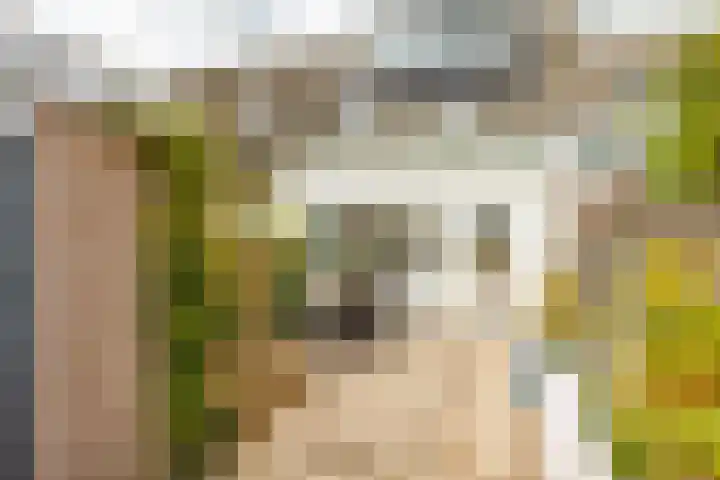 Nijensteinheerd 186 a Groningen thumbnail 24