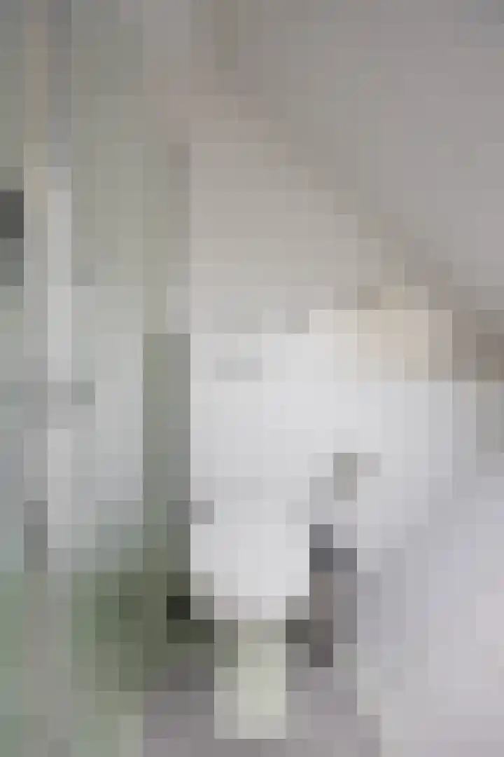 Nijensteinheerd 186 a Groningen thumbnail 38