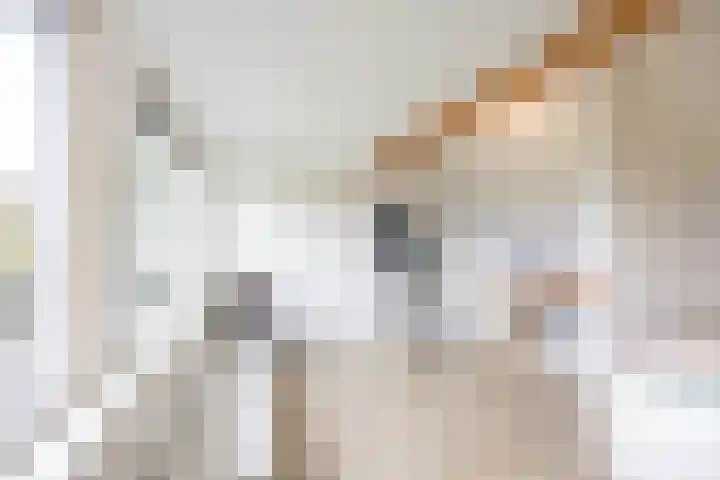Nijensteinheerd 186 a Groningen thumbnail 43