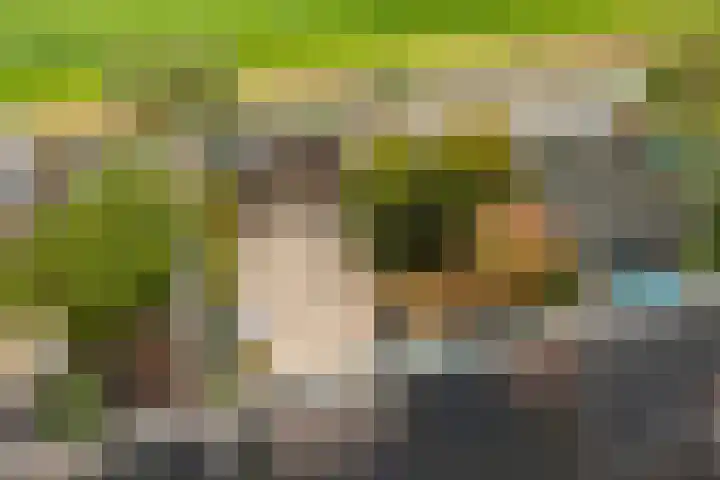 Nijensteinheerd 186 a Groningen thumbnail 44