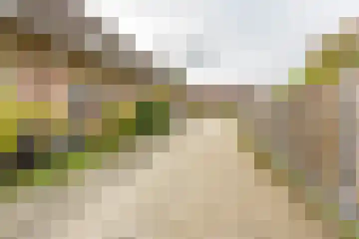 Nijensteinheerd 186 a Groningen thumbnail 46
