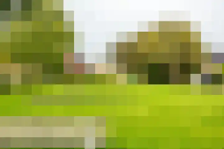Nijensteinheerd 186 a Groningen thumbnail 47