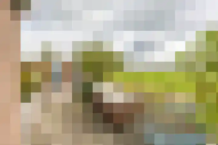 Nijensteinheerd 186 a Groningen thumbnail 48