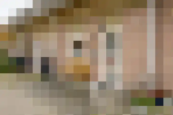 Nijensteinheerd 186 a Groningen thumbnail 5