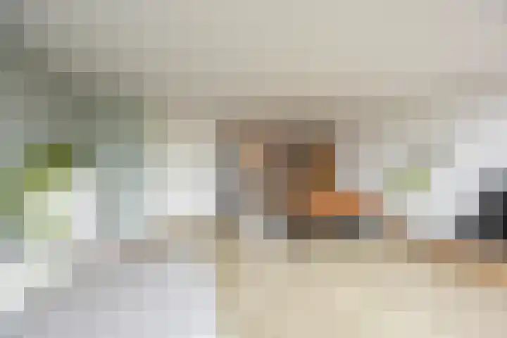 Nijensteinheerd 186 a Groningen thumbnail 9