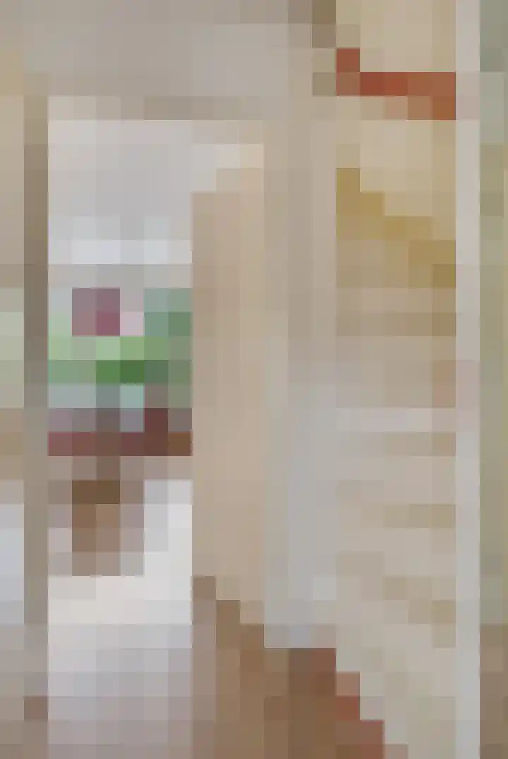 Nijensteinheerd 245 Groningen thumbnail 13