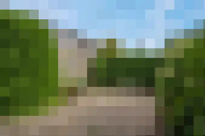 Nijensteinheerd 245 Groningen thumbnail 33