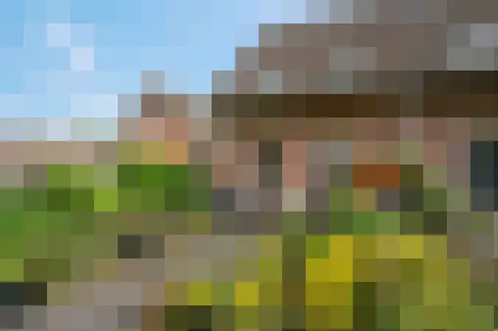Nijensteinheerd 245 Groningen thumbnail 9