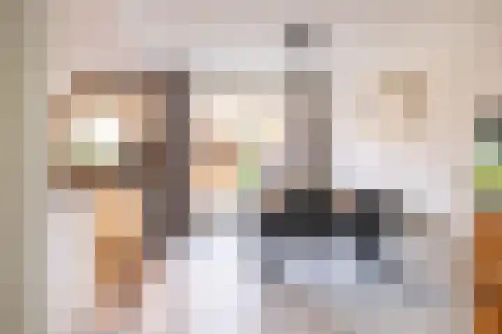 Nijensteinheerd 250 Groningen thumbnail 10