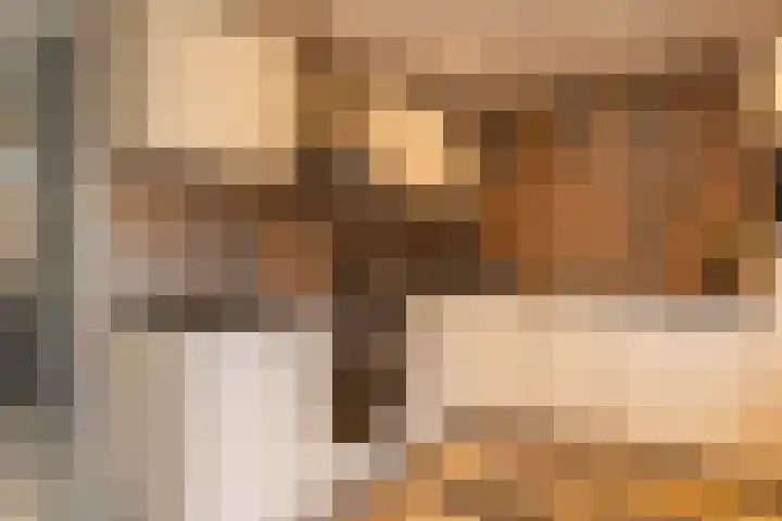 Nijensteinheerd 250 Groningen thumbnail 16