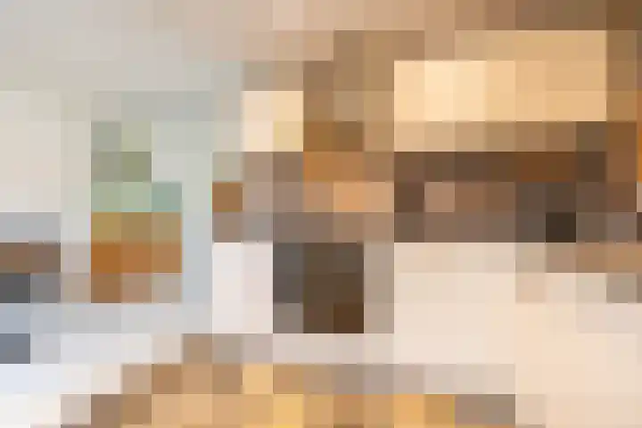 Nijensteinheerd 250 Groningen thumbnail 18