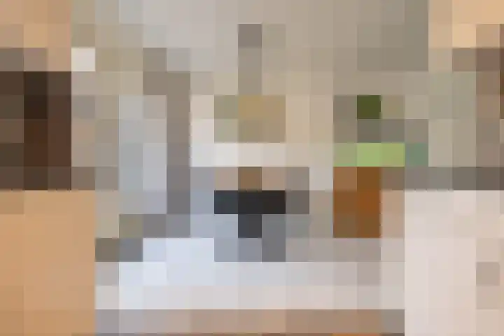 Nijensteinheerd 250 Groningen thumbnail 19