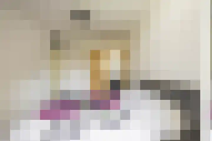Nijensteinheerd 250 Groningen thumbnail 26