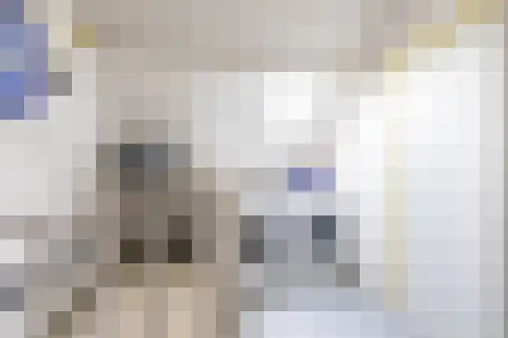 Nijensteinheerd 250 Groningen thumbnail 33