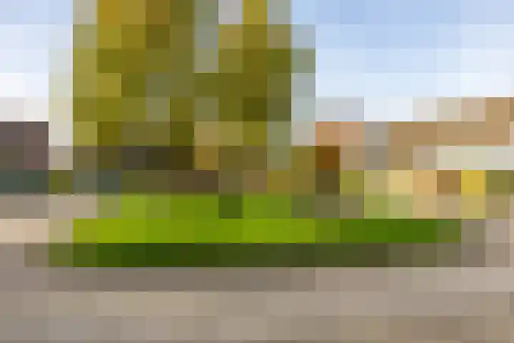 Nijensteinheerd 250 Groningen thumbnail 39