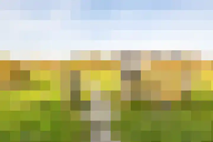 Nijensteinheerd 250 Groningen thumbnail 40