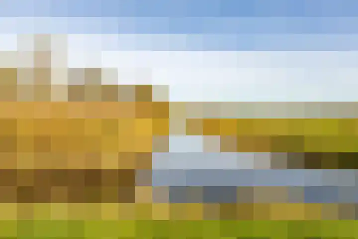 Nijensteinheerd 250 Groningen thumbnail 41