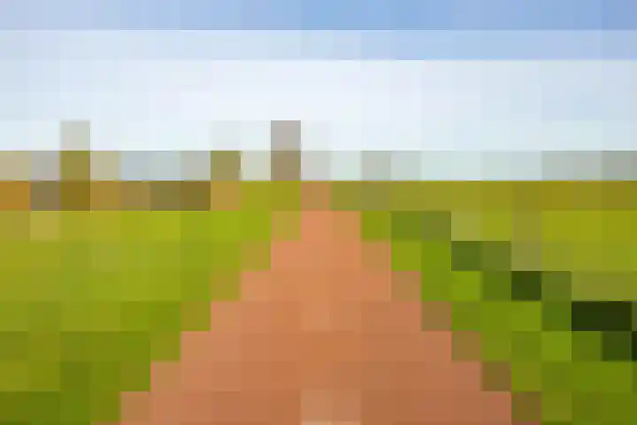 Nijensteinheerd 250 Groningen thumbnail 42