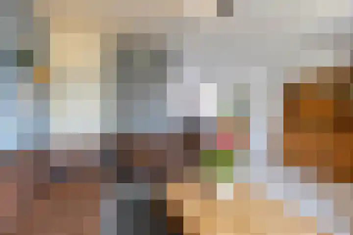 Nijensteinheerd 250 Groningen thumbnail 7
