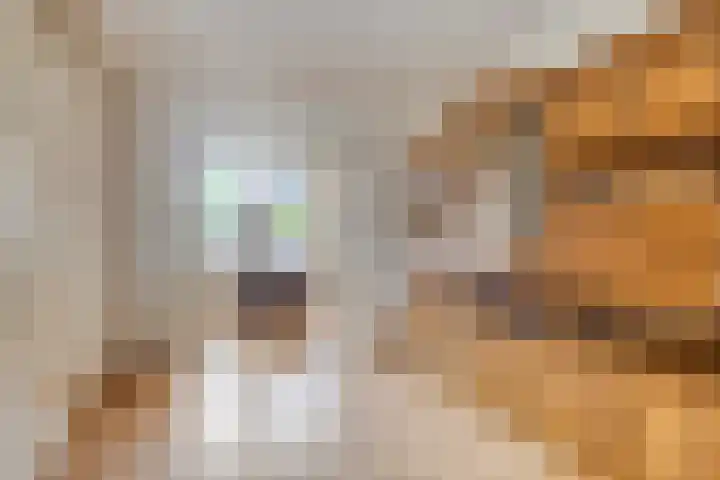 Nijensteinheerd 44 Groningen thumbnail 10