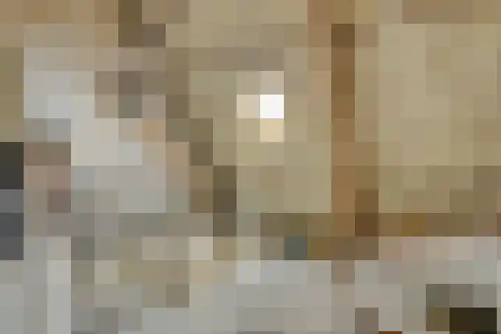 Nijensteinheerd 44 Groningen thumbnail 25