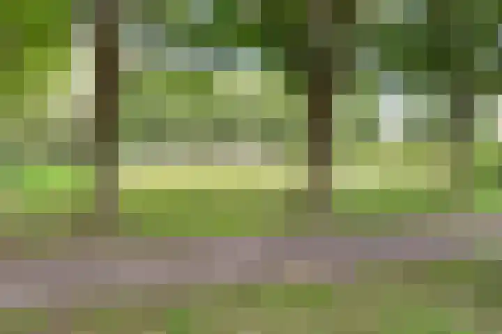 Nijensteinheerd 44 Groningen thumbnail 33