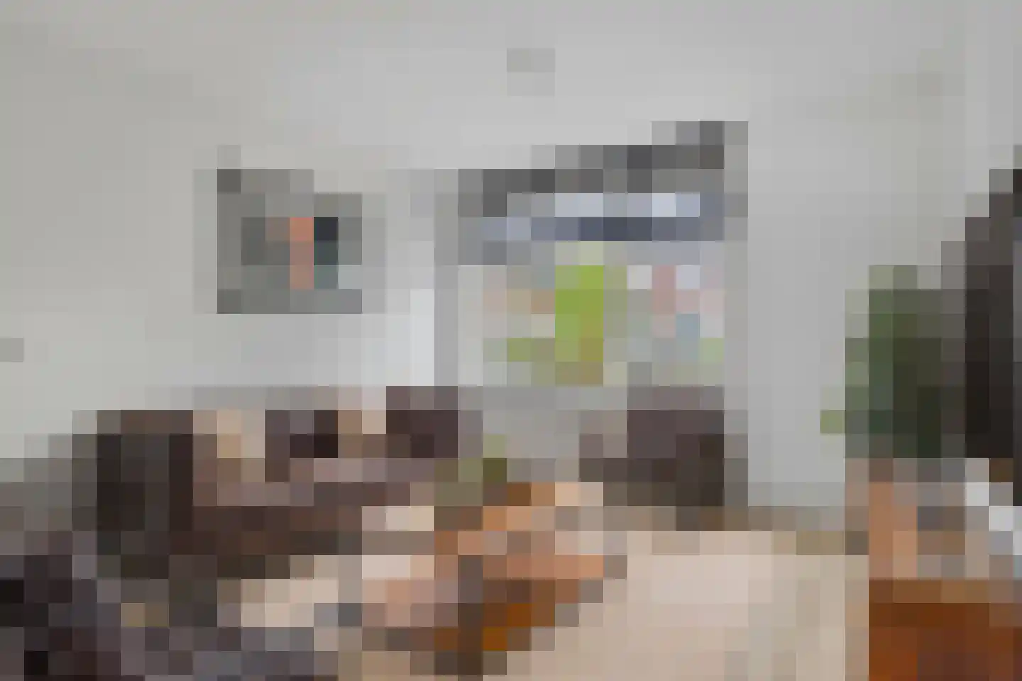 Nijensteinheerd 60 Groningen thumbnail 11