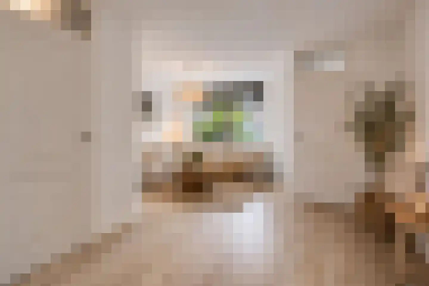 Nijensteinheerd 60 Groningen thumbnail 15