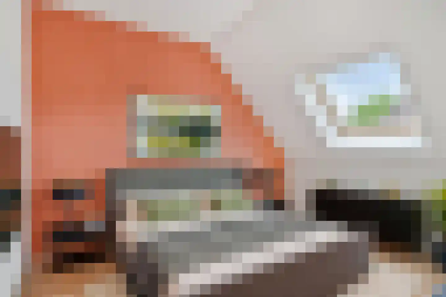 Nijensteinheerd 60 Groningen thumbnail 30
