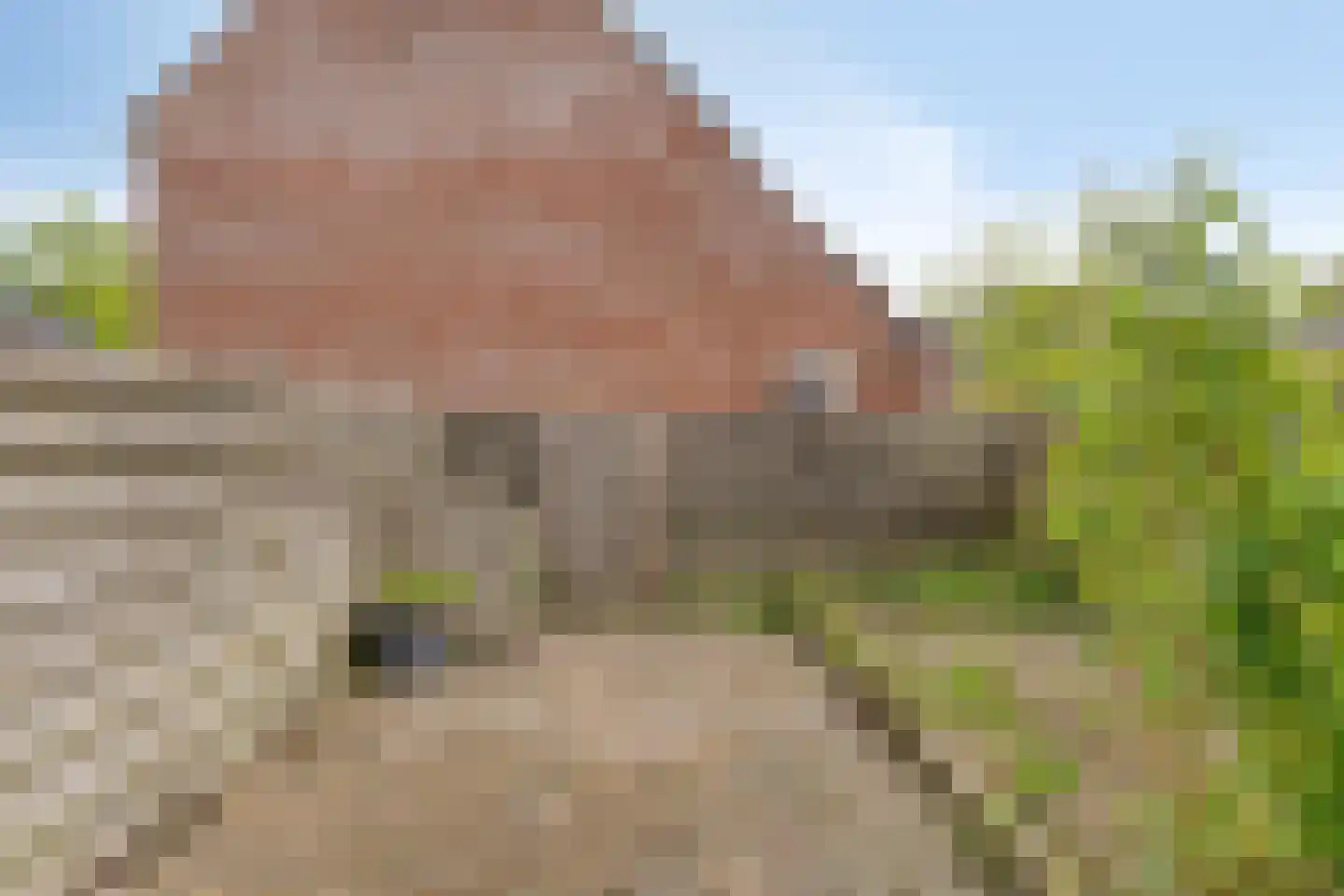 Nijensteinheerd 60 Groningen thumbnail 45