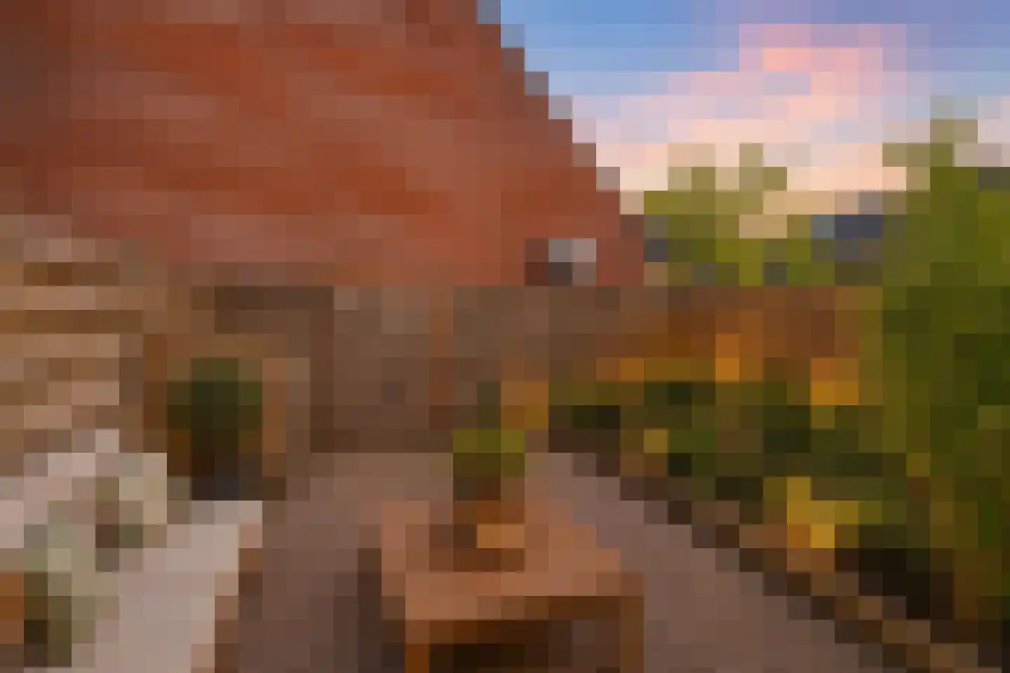 Nijensteinheerd 60 Groningen thumbnail 48