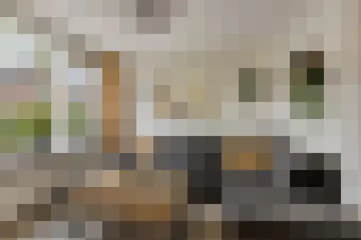 Nijensteinheerd 72 Groningen thumbnail 11