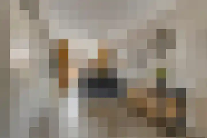 Nijensteinheerd 72 Groningen thumbnail 12