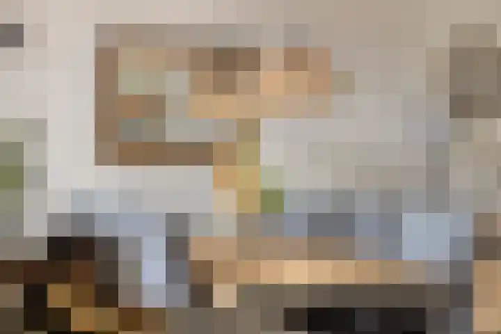 Nijensteinheerd 72 Groningen thumbnail 13