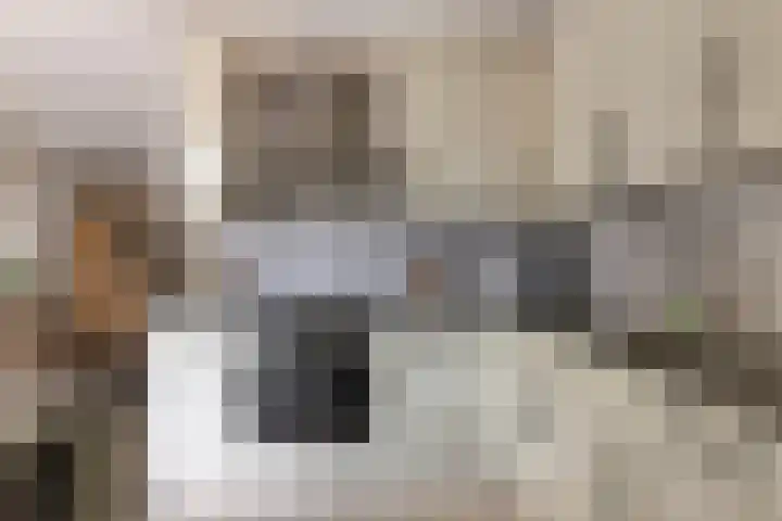 Nijensteinheerd 72 Groningen thumbnail 14