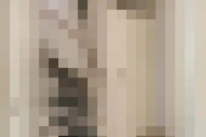 Nijensteinheerd 72 Groningen thumbnail 19
