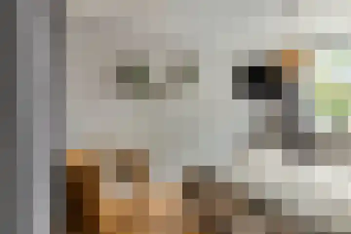 Nijensteinheerd 72 Groningen thumbnail 21