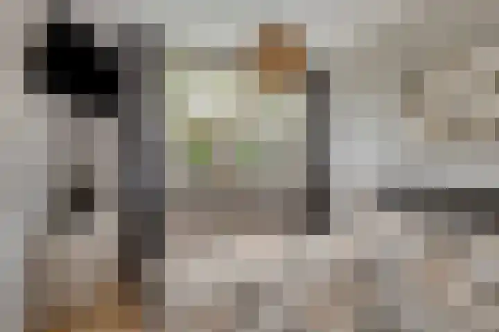 Nijensteinheerd 72 Groningen thumbnail 22