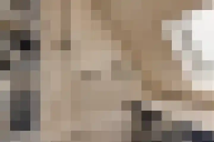 Nijensteinheerd 72 Groningen thumbnail 24