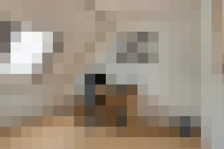 Nijensteinheerd 72 Groningen thumbnail 26