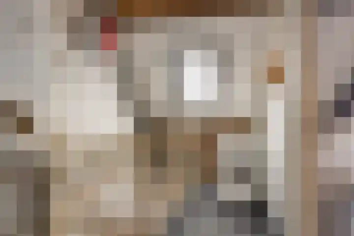 Nijensteinheerd 72 Groningen thumbnail 29