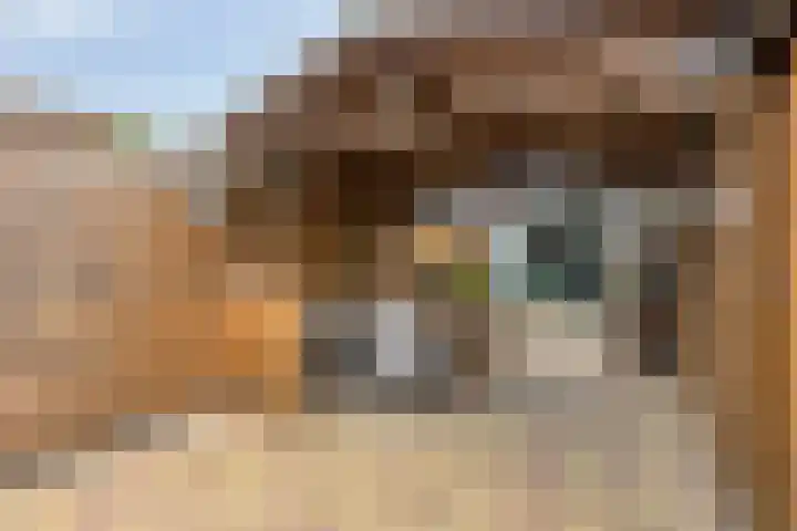 Nijensteinheerd 72 Groningen thumbnail 35